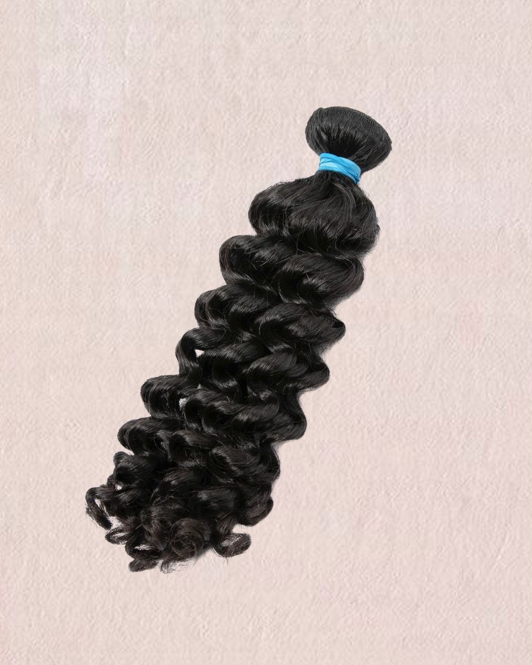 RAW BURMESE CURL